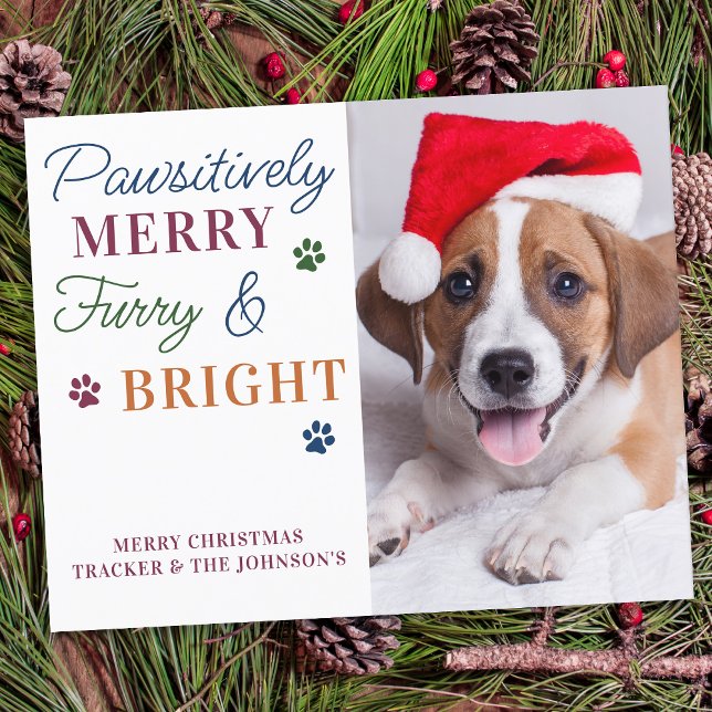 Budget Pawsitively Merry Custom Pet Photo Holiday  (Creator Uploaded)