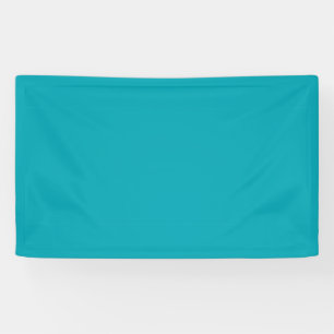 BUDGET Peacock Blue Teal Monochrome Wedding Banner