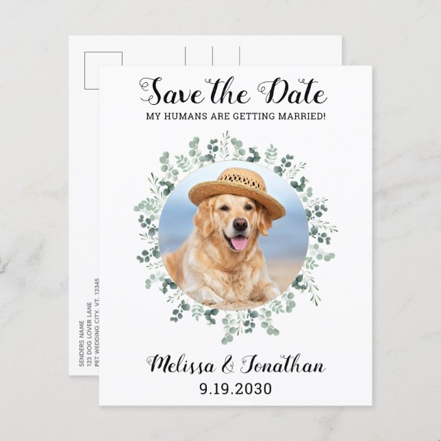 Budget Pet Dog Wedding Eucalyptus Save The Date (Front/Back)