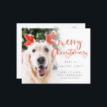 Budget Pet Photo 2022 Calendar Merry Christmas<br><div class="desc">Pet Photo 2022 Calendar Merry Christmas. A budget price SMALLER 4.5” x 5.6” flat card for your festive greetings on a shiny SEMI GLOSS 110 lb card stock (similar to the thickness of a postcard) PLEASE NOTE: The envelope supplied with this card is slightly larger than the card itself. A...</div>