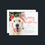 Budget Pet Photo 2022 Calendar Merry Christmas<br><div class="desc">Pet Photo 2022 Calendar Merry Christmas. A budget price SMALLER 4.5” x 5.6” flat card for your festive greetings on a shiny SEMI GLOSS 110 lb card stock (similar to the thickness of a postcard) PLEASE NOTE: The envelope supplied with this card is slightly larger than the card itself. A...</div>