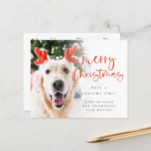 Budget Pet Photo 2022 Calendar Merry Christmas