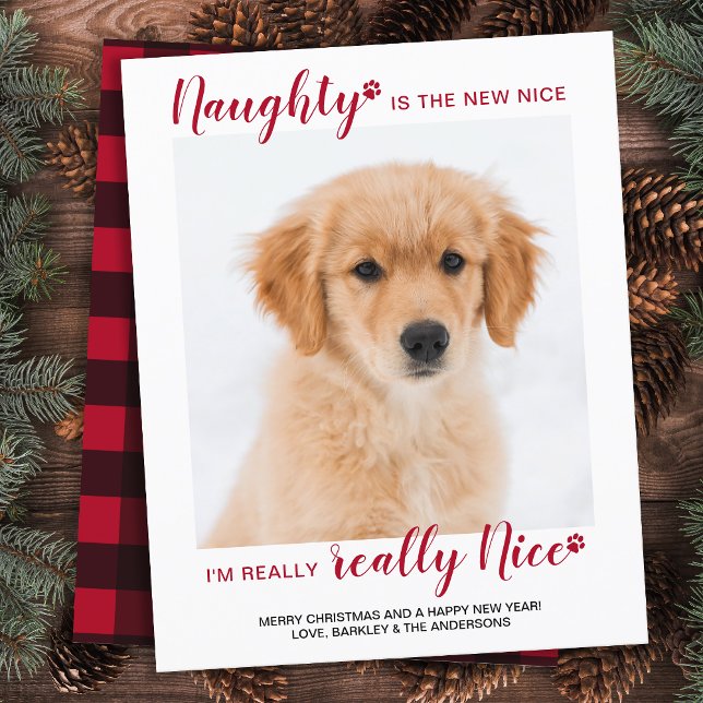 Budget Pet Photo Naught Nice Funny Holiday Card (Creator Uploaded)