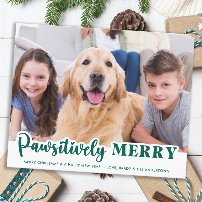 Budget Pet Photo Pawsitively Merry Dog Holiday (Creator Uploaded)