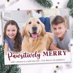 Budget Pet Photo Pawsitively Merry Holiday Card