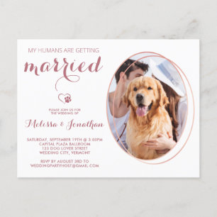 Budget Pet Photo Personalise Dog Wedding Rose Gold Postcard