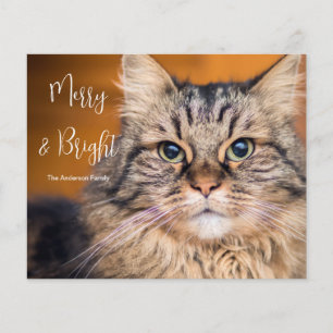 Budget Photo Cat Merry and Bright  Holiday Card