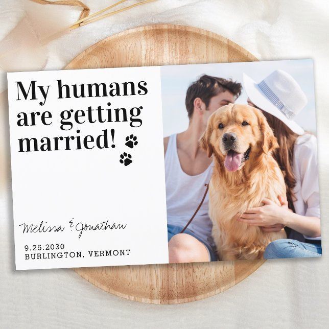 Budget Photo Wedding Pet Dog Save The Date Cards (Creator Uploaded)