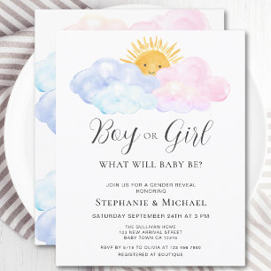 Budget Pink And Blue Gender Reveal Invitation
