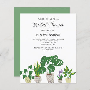 Budget Potted Plants Bridal Shower Greenery 