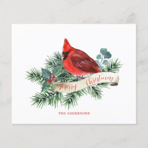 Budget Red Cardinal Christmas Card 