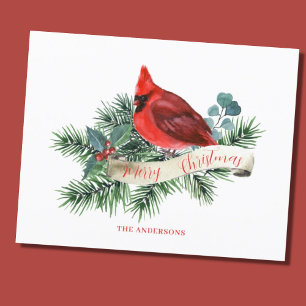 Budget Red Cardinal Christmas Card 