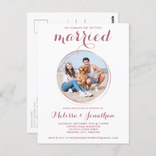 Budget Rose Gold Custom Pet Photo Dog Wedding  Postcard