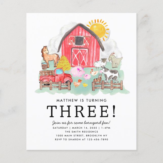Budget Rustic Barnyard Animals Kids Farm Birthday (Front)