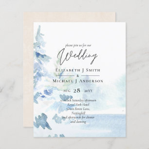 BUDGET Snowy Mountains Winter Lake Trees