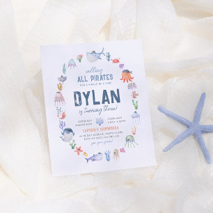 Budget Under The Sea Ocean Boys Pirate Birthday