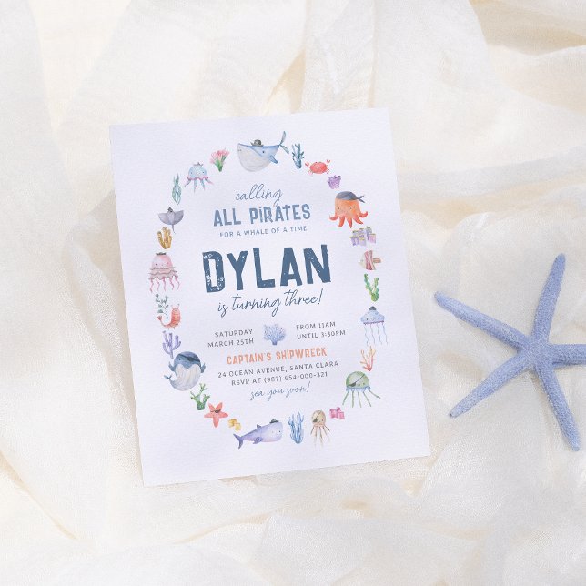 Budget Under The Sea Ocean Boys Pirate Birthday (Creator Uploaded)