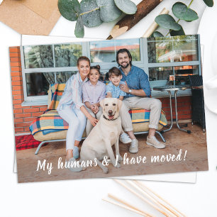 Budget We Have Moved Pet Moving Announcement Card