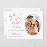 Budget Wedding Pet Photo Rose Gold Save The Date