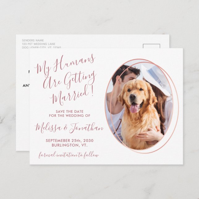Budget Wedding Pet Photo Rose Gold Save The Date Postcard (Front/Back)
