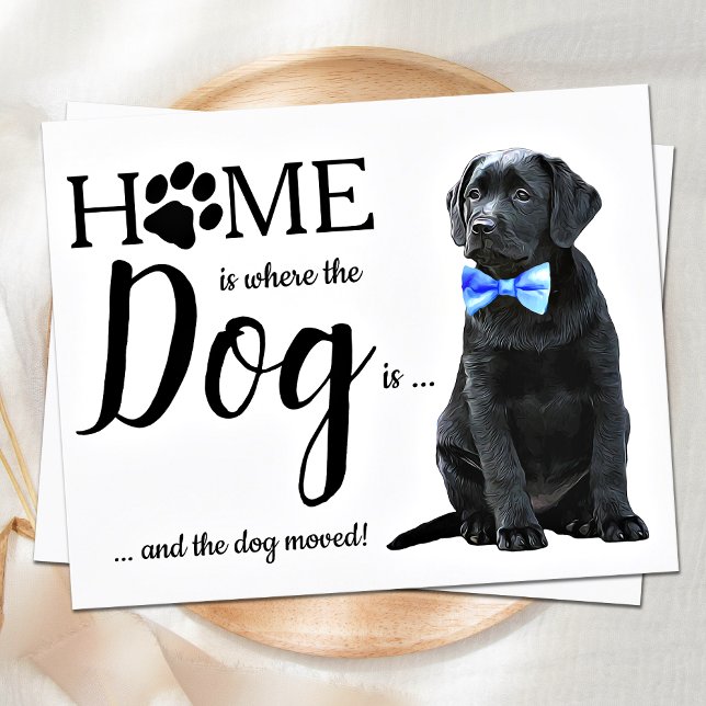 Budget We've Moved Cute Dog Moving Announcement (Creator Uploaded)