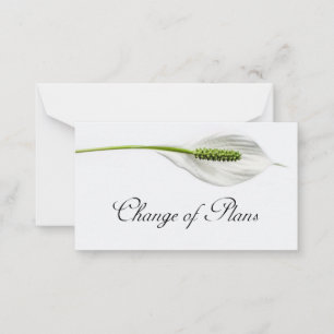 Budget. White on grey Change of Plans Note Card