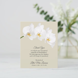 Budget White Orchid Funeral Memorial Thank You