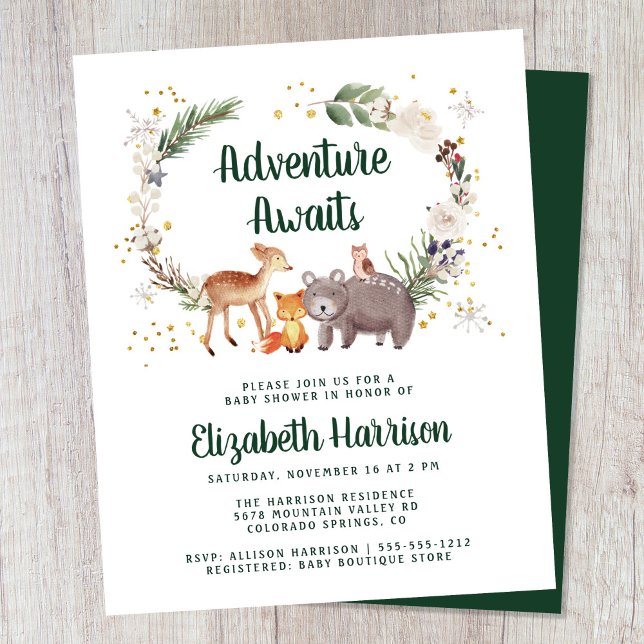 Budget Winter Woodland Animals Baby Shower Invite (Creator Uploaded)