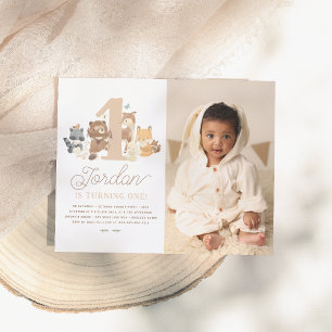 Budget Woodland Animals First Birthday Party Photo