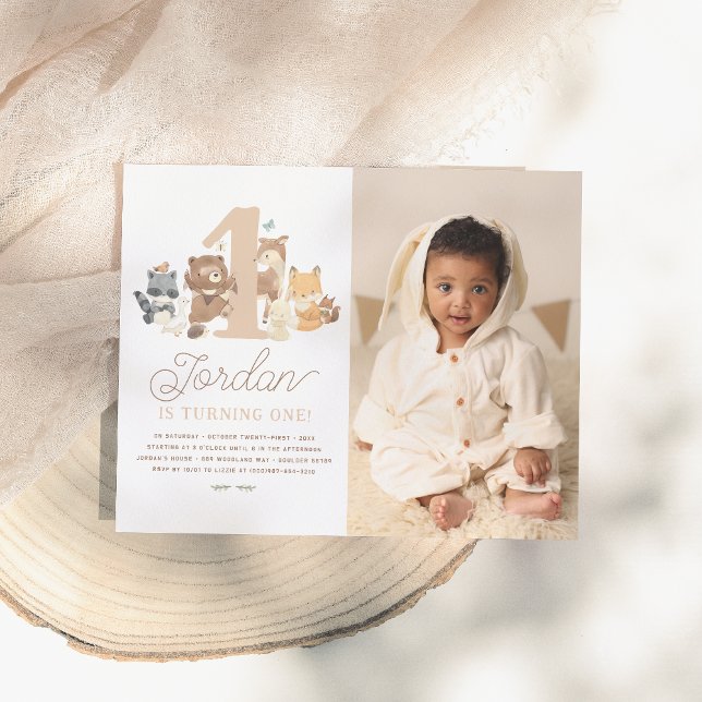 Budget Woodland Animals First Birthday Party Photo (Creator Uploaded)