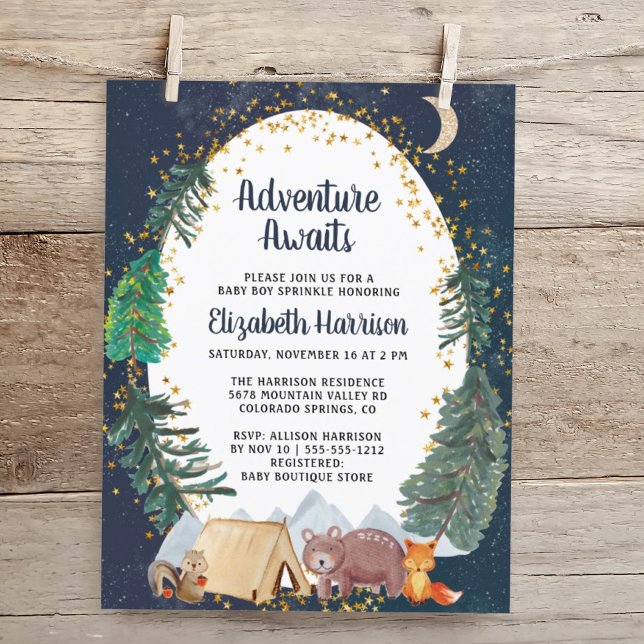 Budget Woodland Animals Night Sky Baby Sprinkle (Creator Uploaded)