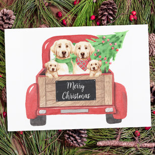 Budget Yellow Labrador Red Christmas Truck Holiday Card