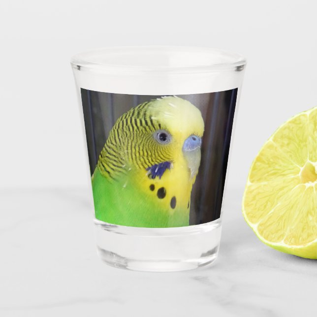 Budgie 003 shot glass (Front)