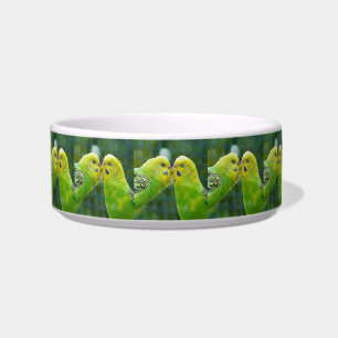 Budgie_2015_0604 Bowl