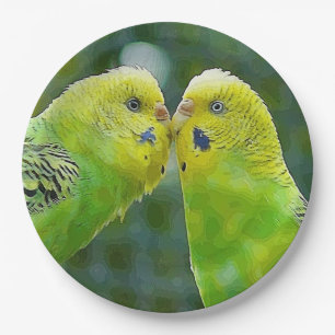 Budgie_2015_0604 Paper Plate