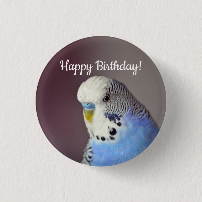 Budgie 4 Birthday 3 Cm Round Badge (Front)