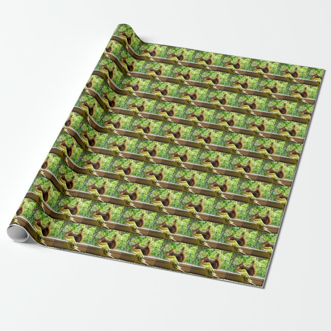 Budgie and Red Squirrel Wrapping Paper (Unrolled)