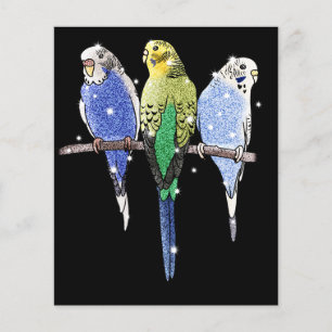 Budgie Budgerigar Glitter Flyer