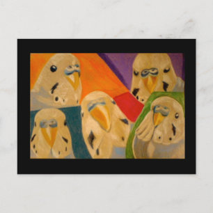 Budgie Budgerigar Postcard