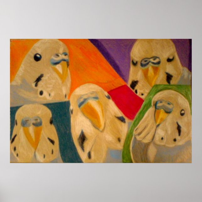 Budgie Budgerigar Poster (Front)