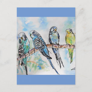 Budgie Budgies Watercolor Painting Bird Card