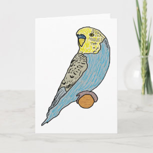 Budgie Card