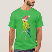 Budgie Christmas style