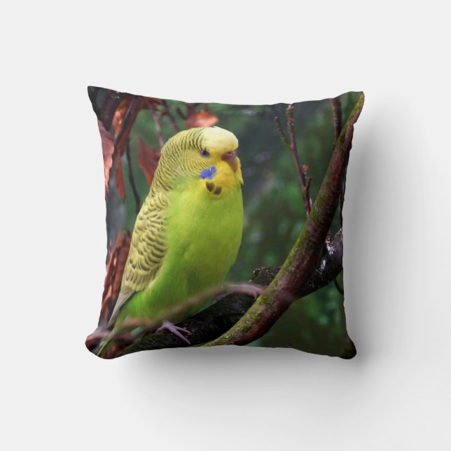 Budgie Cushion (Front)