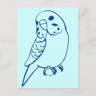 Budgie Drawing Postcard