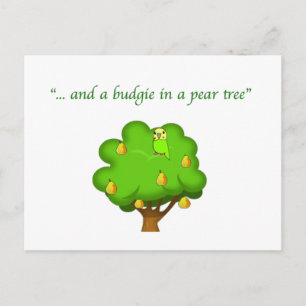 Budgie in a Pear Tree Postcard