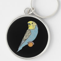 Budgie