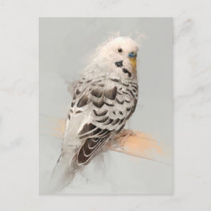 Budgie Portrait No.11 Postcard