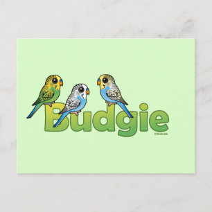 BUDGIE POSTCARD