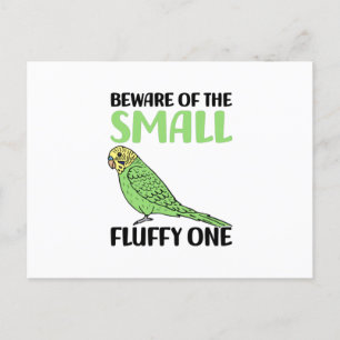 budgie postcard